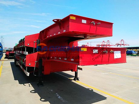 nEO_IMG_2018.06.05-Algeria 2 CIMC SEMI TRAILER (Michael OM2018B36E) (9)