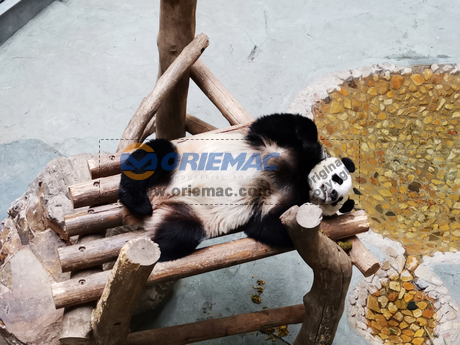 nEO_IMG_3400c3d4cafcce41a5a64006b04edd6