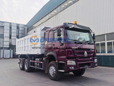 nEO_IMG_20200930_Ghana 1 SINOTRUK HOWO 371HP 6X4 Dump Truck (7)