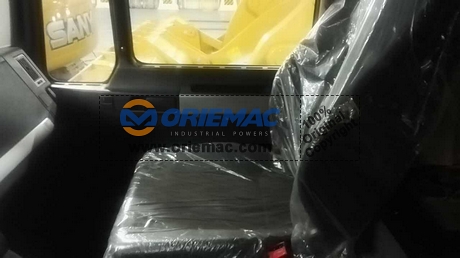 Algeria 1 Shacman F2000 Dump Truck_6