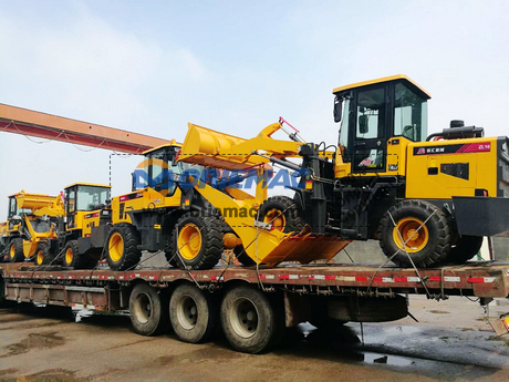 nEO_IMG_2018.09.05-Georgia 3 ZL16 & 2 CH936 (Eric OM2018F11D) (12)