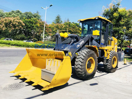 nEO_IMG_20200904_Uzbekistan 1 XCMG LW300FN Wheel Loader (10)