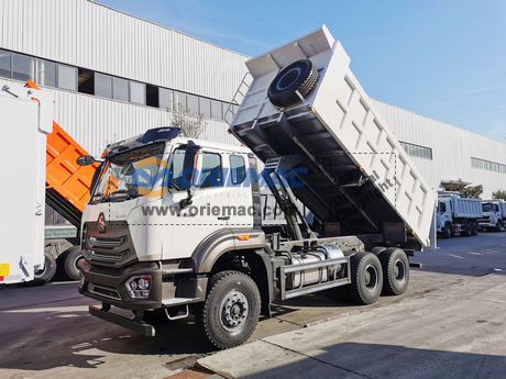 Togo 1 HOMAN ZZ3255N3846A Dump Truck (5)