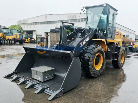20250416_Sudan 3 XCMG LW300KN Wheel Loaders (Heather Li OM2026C0183W) (2)